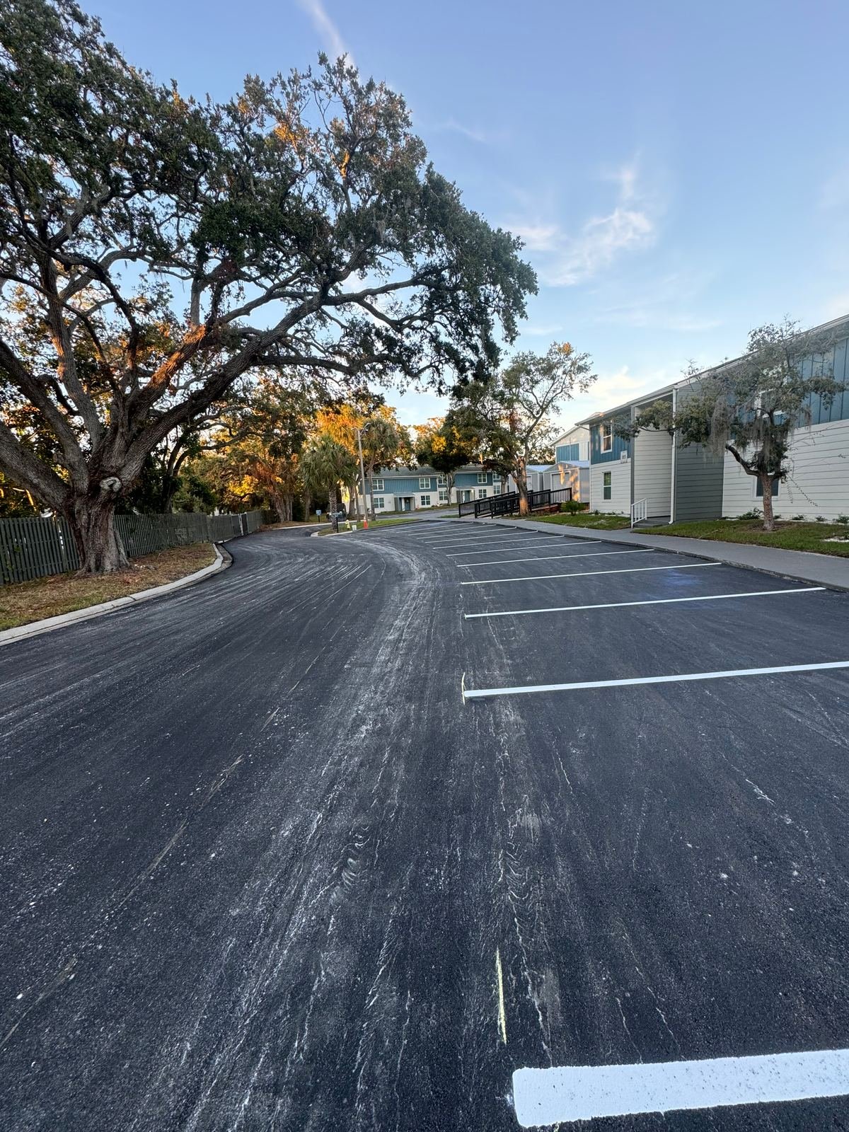Newly paved and striped parking lot lined with palm trees